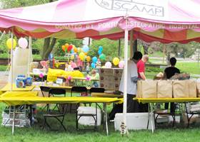 Huge and colourful gazebo tent for outdoor party