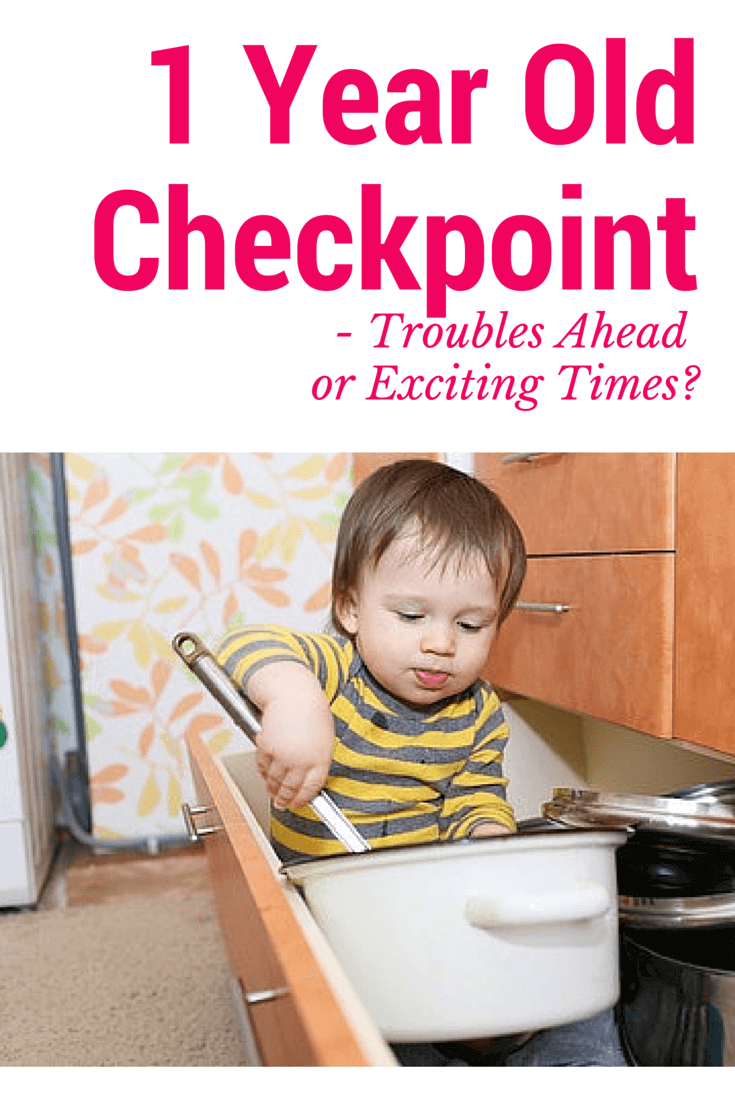 1 Year Old Checkpoint