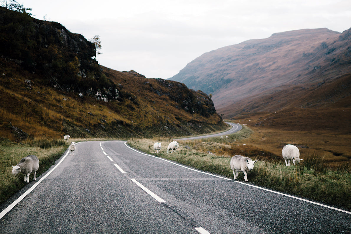 Ride Scotland’s Romantic Highlands