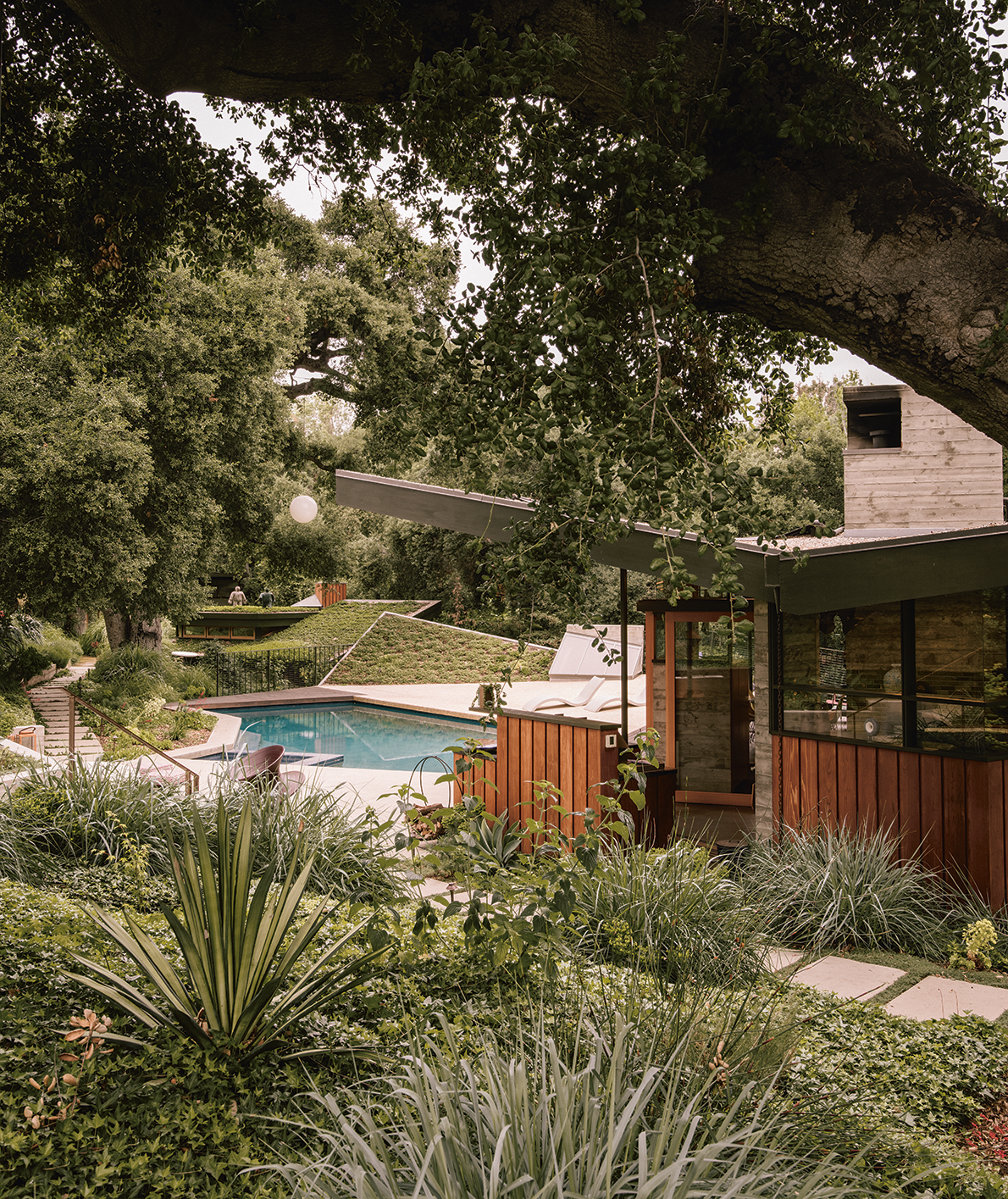 A Mid-Century Home Garden Finds Its Wild Roots
