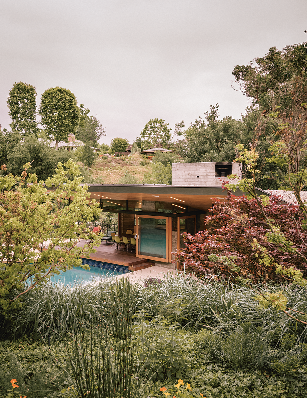 A Mid-Century Home Garden Finds Its Wild Roots