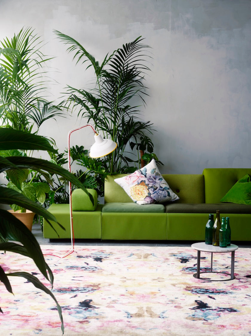 Palm trees and fig tree arranged around a couch in a living room interior. (Photo: Siren Lauvdal) 