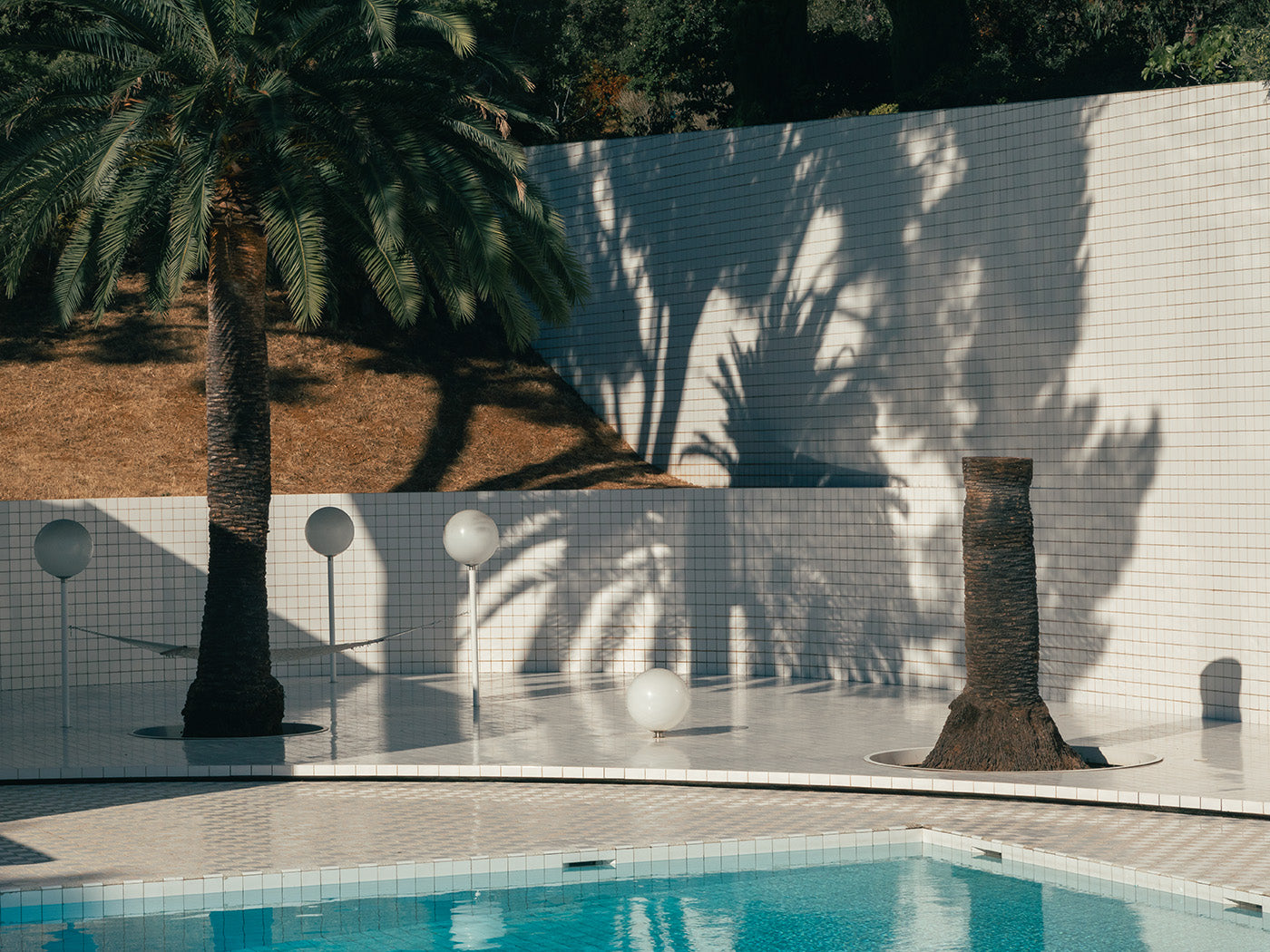 Palm trees and pool by Romain Laprade