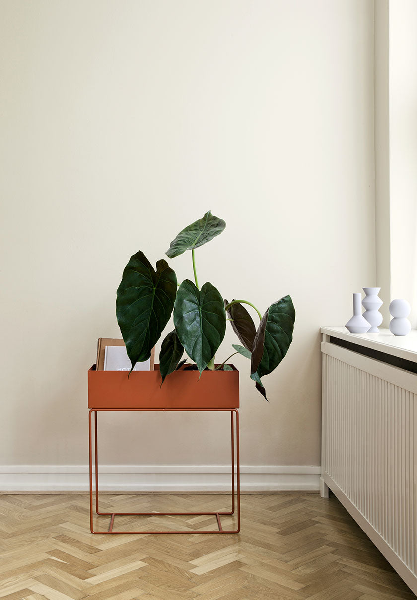 Monstera potted plant with big heart shaped leaves placed on a decorative side stand near a window.