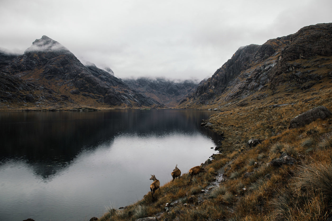 Richard Gaston Photography Landscape