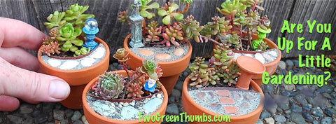 Mini Mini Gardening with Two Green Thumbs