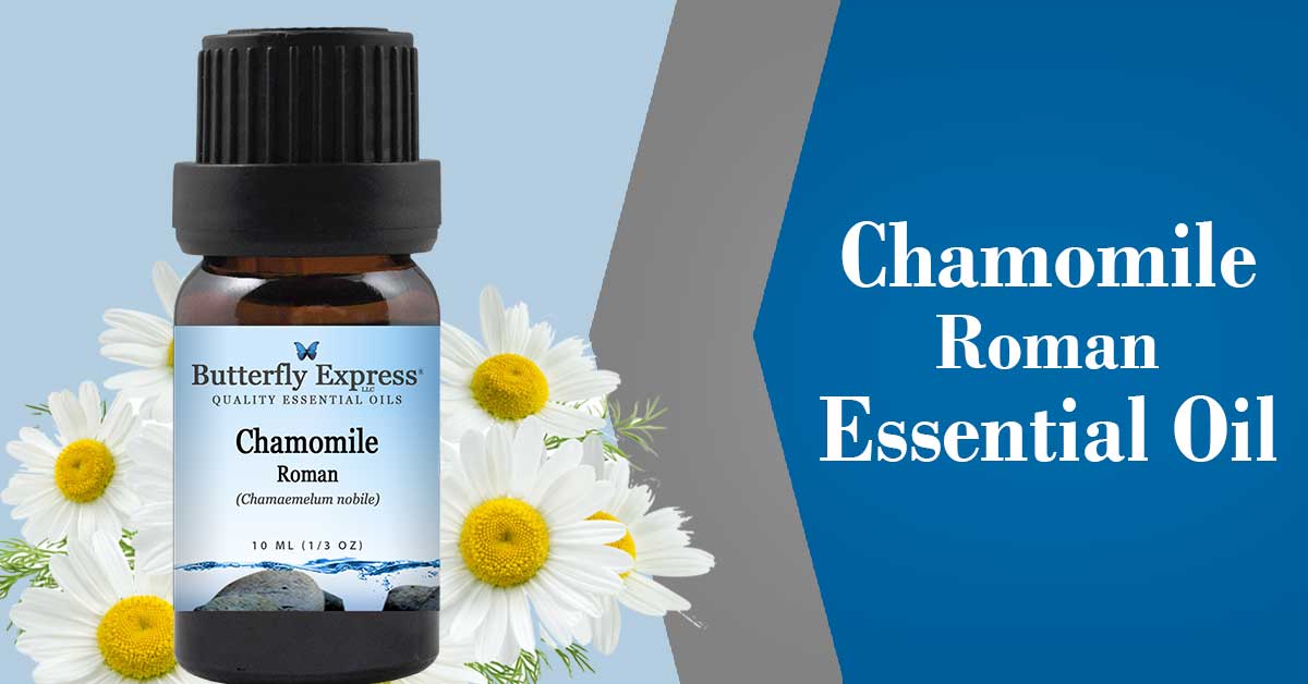 Organic Roman Chamomile Essential Oil Soothes Skin Relaxes Mind Relieves  Stress And Sleep Aromatherapy Nourishes Hair - Essential Oil - AliExpress