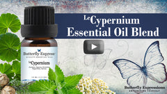 Cypernium Essential Oil