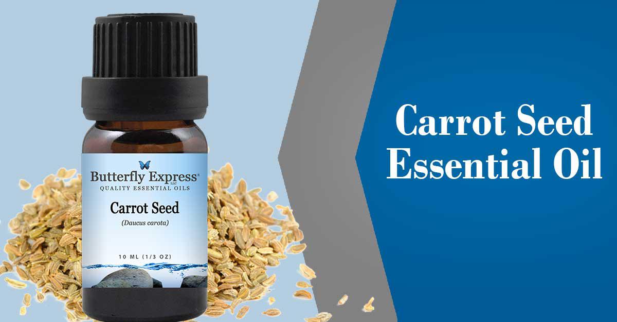 Carrot Seed Essential Oil