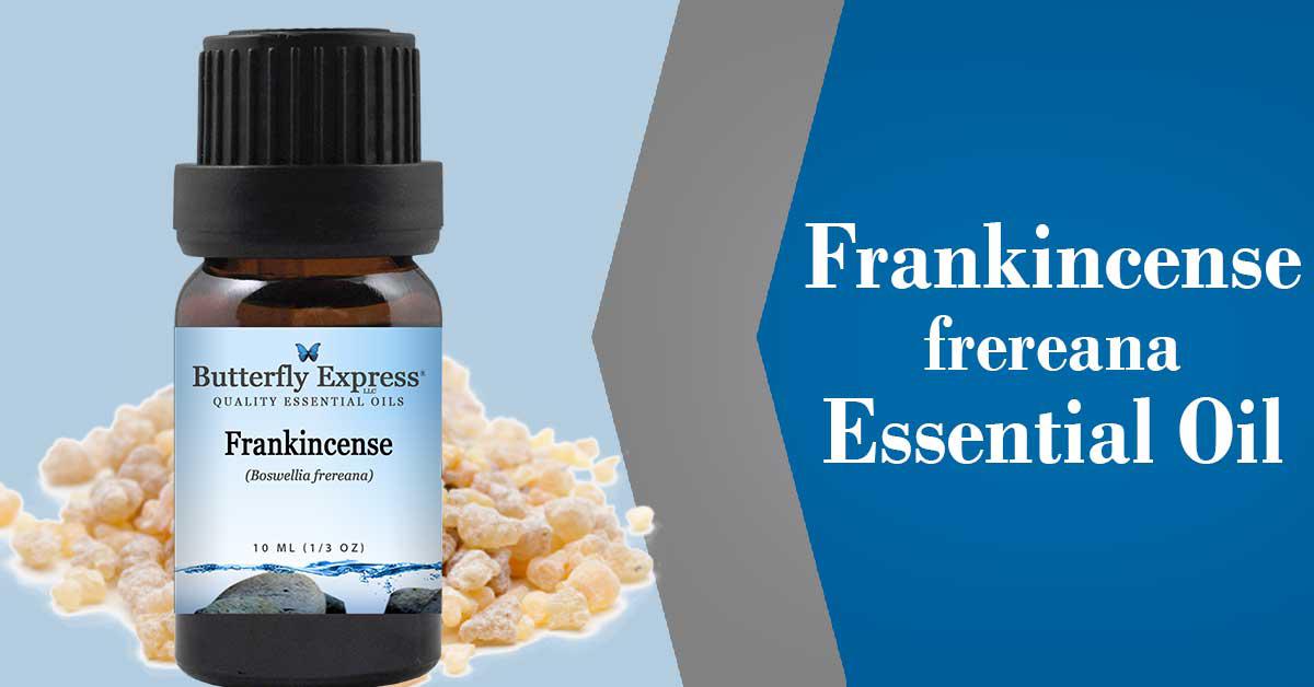 Frankincense Oil: Uses and benefits
