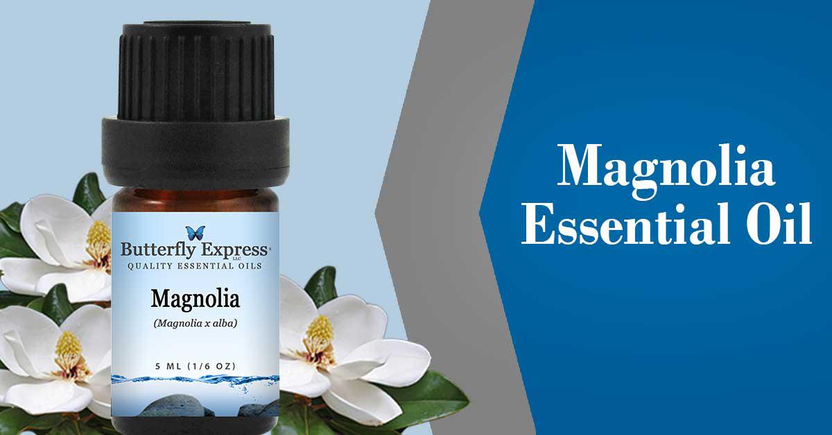 Magnolia Essential Oil 5ml - 100% Pure - by Butterfly Express, Green