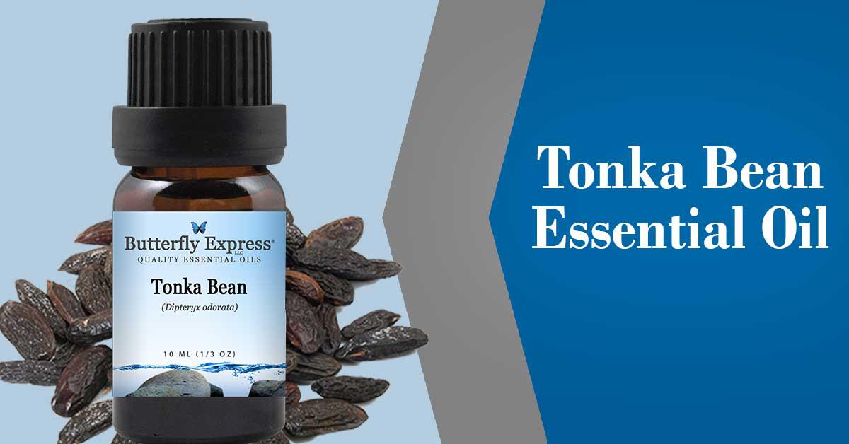 Tonka Bean Pure Natural Essential Oil 15 ml Dipteryx odorata by Bangota