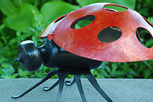 Ladybug – Small