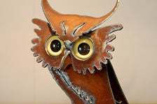 Hooty Hoo