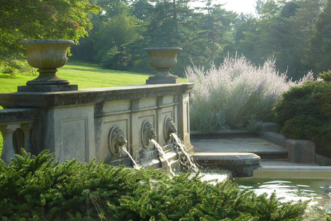 Morris Arboretum