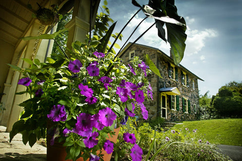 Tyler Arboretum