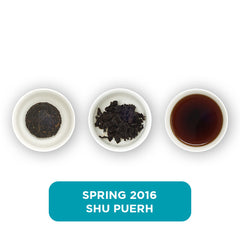 Spring 2016 Shu Puerh loose leaf tea – three cups showing the plain leaf, the unfurled leaf with the water added and then the final brew of tea.