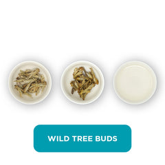 Wild Tree Buds loose leaf tea – three cups showing the plain leaf, the unfurled leaf with the water added and then the final brew of tea.
