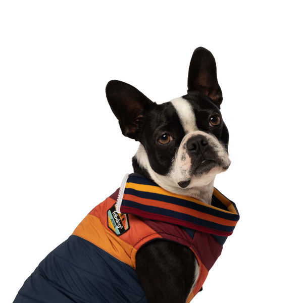 fab dog fleece jacket