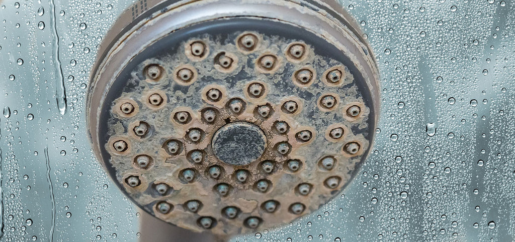 hard water showerhead
