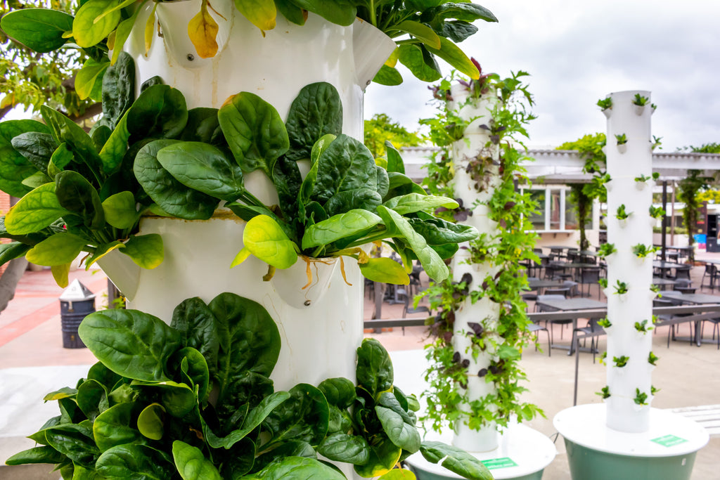 aeroponics garden