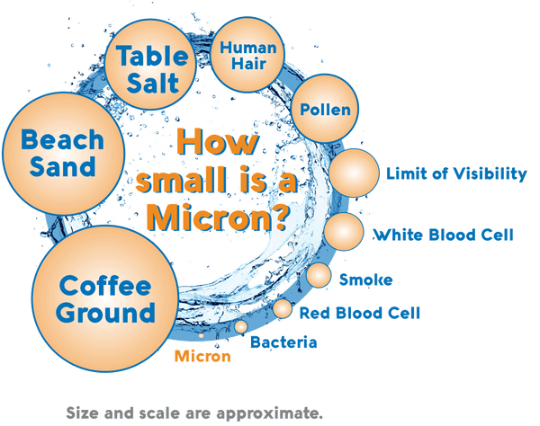 micron size chart