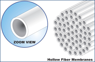 Hollow Fiber Membranes Flow Motion