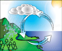Earth Water Cycle