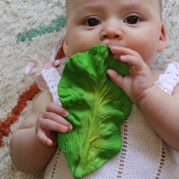 kale teething toy