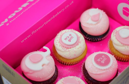 The Ultimate Baby Shower Cupcakes and our top tips!