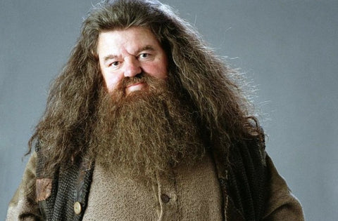 Hagrid - Harry Potter
