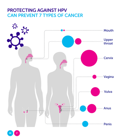 what is HPV