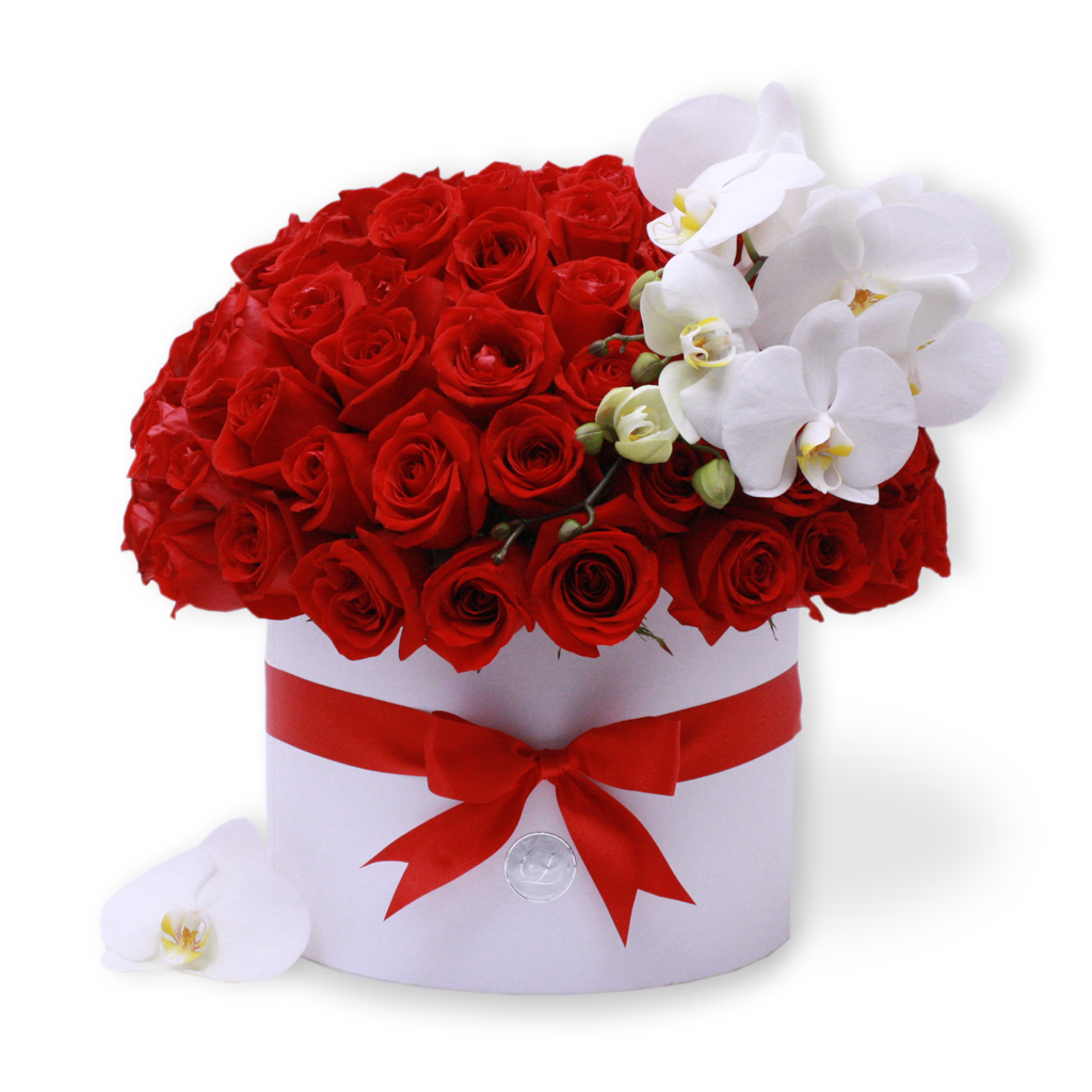 Exquisitas Rosas Rojas y Orquídea Premium| ADELE – Laurel Floristería