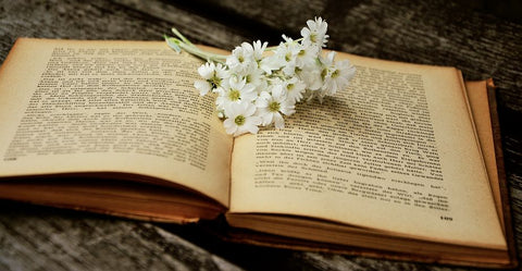 Chamomile Flowers on a book