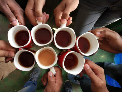 Many Different Teas in Mugs