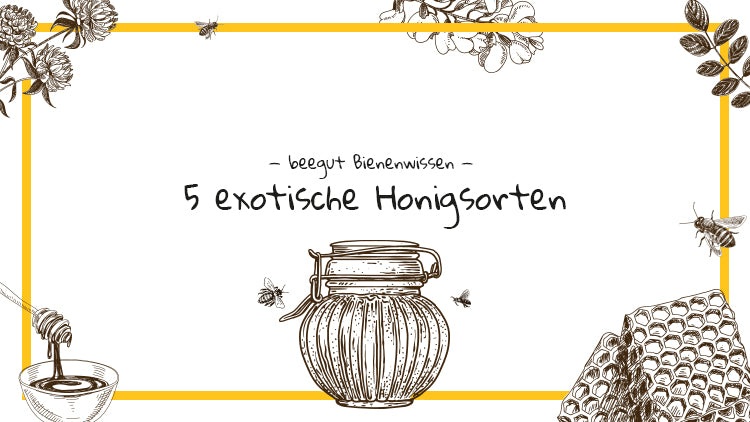 5 exotische honigsorten
