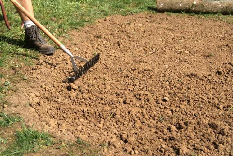 eigene bienenweide im garten