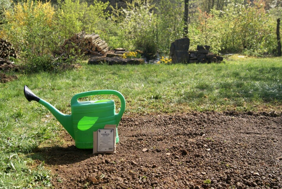 eigene bienenweide im garten