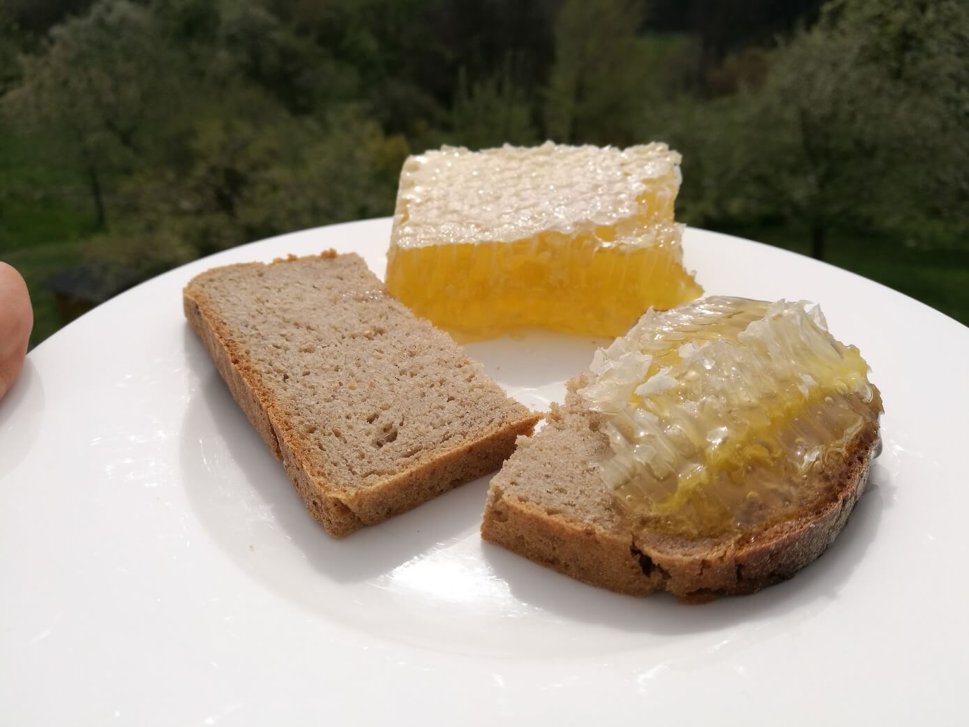 honigwabe in scheiben auf dem brot