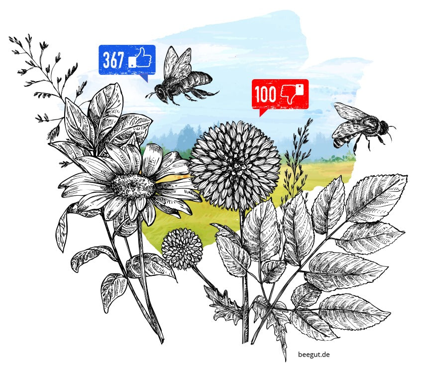 welche blumen mögen bienen nicht