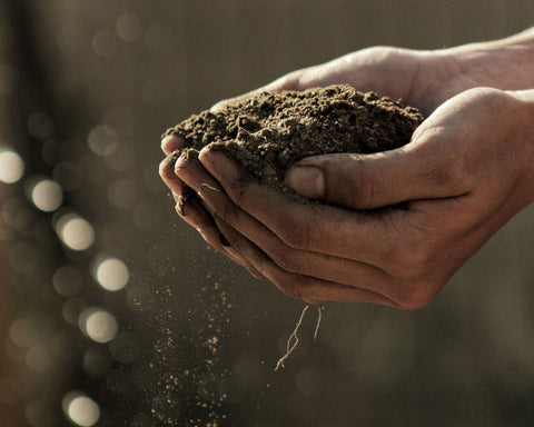 hands holding and sifting sandy soil