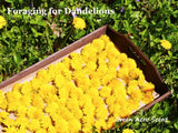 Foraging Dandelions | Green Acre Scent | Handmade in Canada