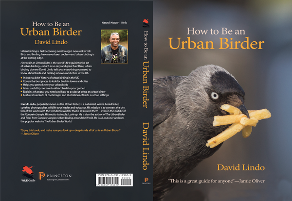 How to Be an Urban Birder - By David Lindo