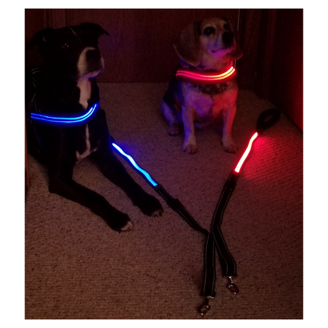 Cali Marsh and Maggie Dalo supporting the LED comfort dog harness and LED leash - good pups