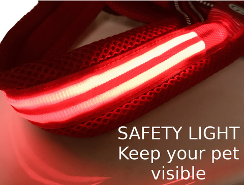 LED lights to keep pets visible at night.
