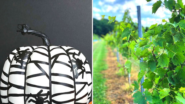 **OUTDOOR EVENT** Faux Halloween Pumpkin Paint & Sip | Hawk Ridge Winery in Watertown CT | 10.28.20 | 6-8 PM
