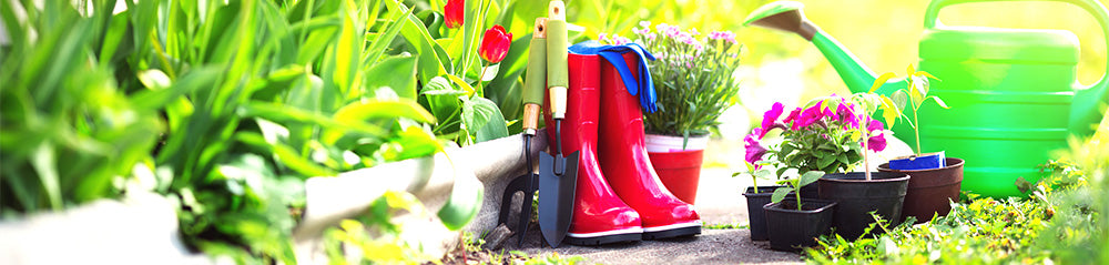 Beautiful Garden Outside in the Sunshine with Garden Tools