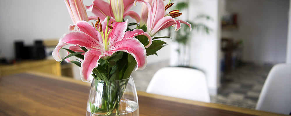 cut-bouquets-brent-and-becky-lilies-in-vase