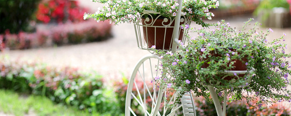 ideas-for-a-woodland-garden-antique-white-bicycle-decor