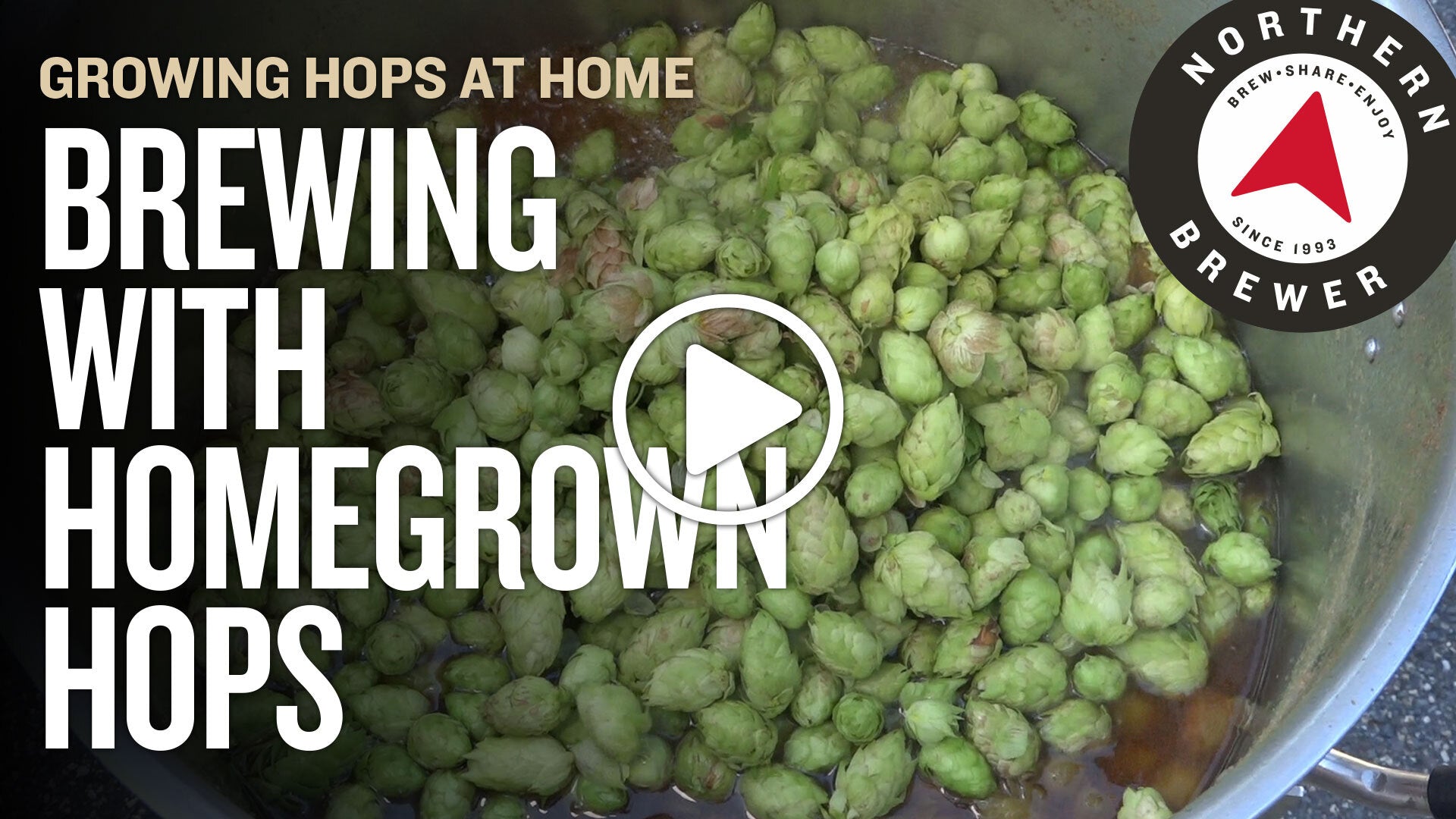 Brewing with Fresh Hops